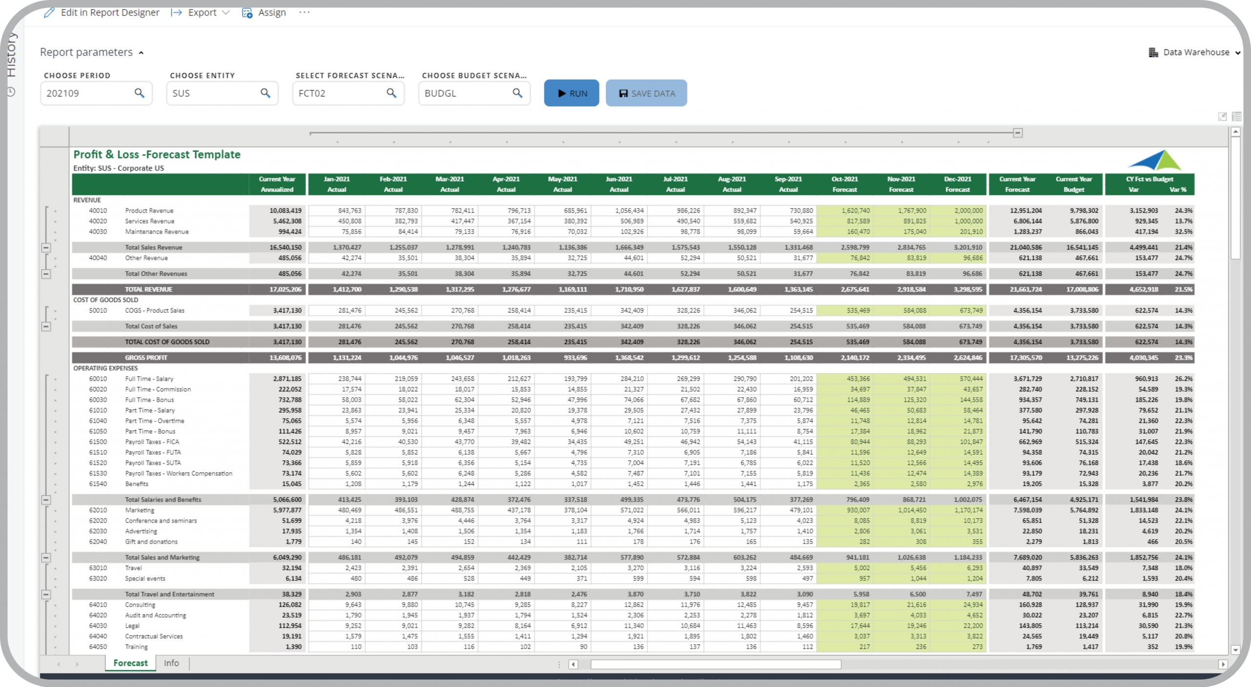 Example of a Profit & Loss Forecast Input Template to Streamline the Forecasting Process