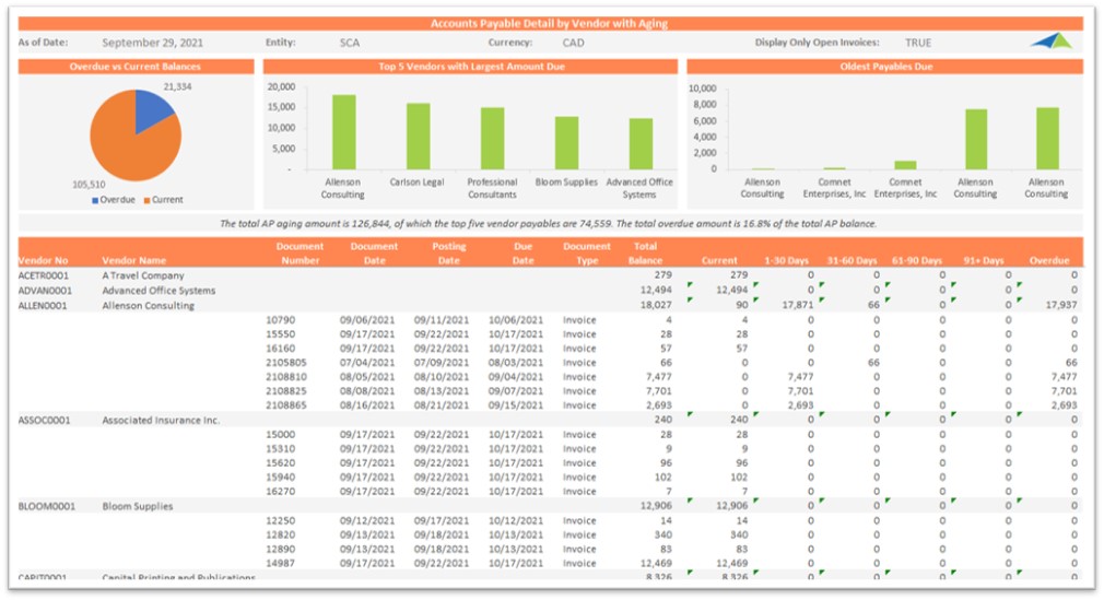 Example of an AP Detail Report by Vendor to Streamline the Vendor Expense Analysis Process
