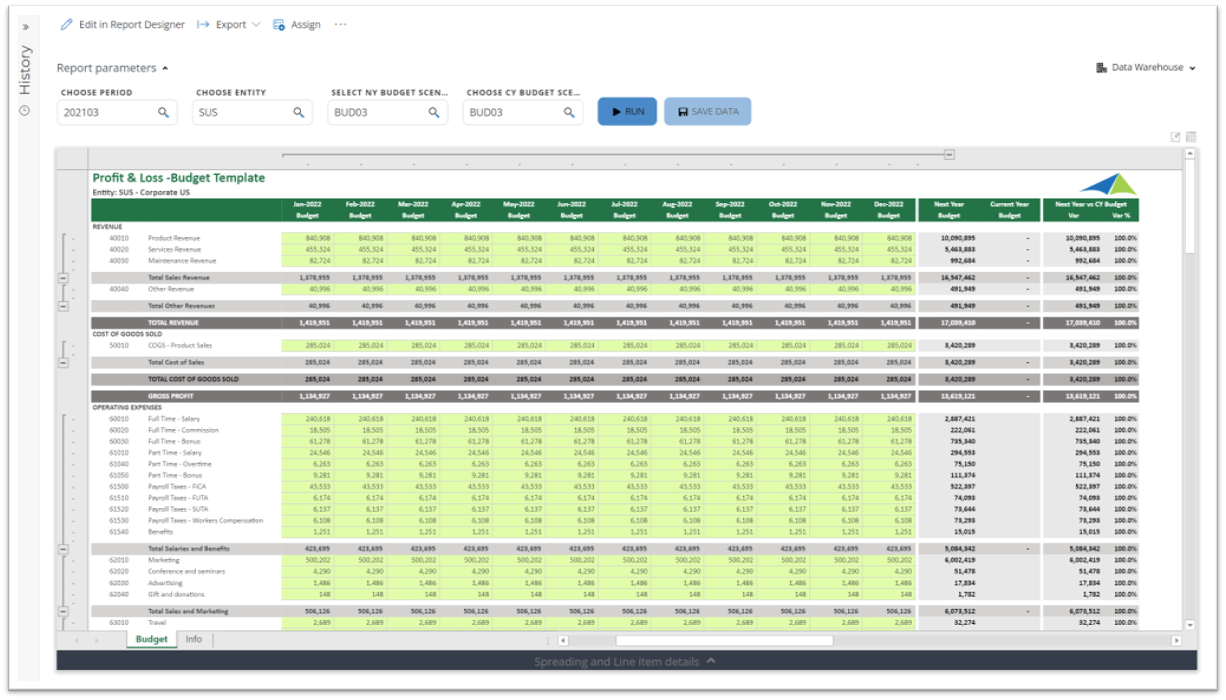 Solver - Annual budget input form for Sage Intacct